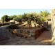 Properties for Sale_La Villa a Pantelleria in Le Marche_30